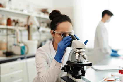 Se inició un controvertido proyecto para crear desde cero los componentes fundamentales de la vida humana (Foto ilustrativa: PEXELS)