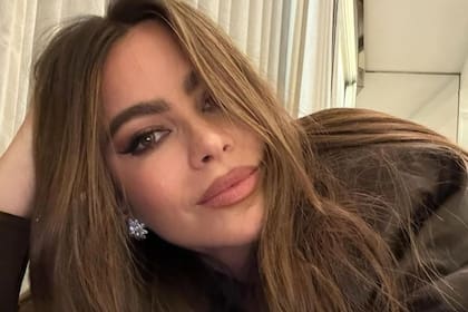 Sofía Vergara subió una foto subida de tono a las redes y sus seguidores reaccionaron (Foto: Instagram @sofiavergara)